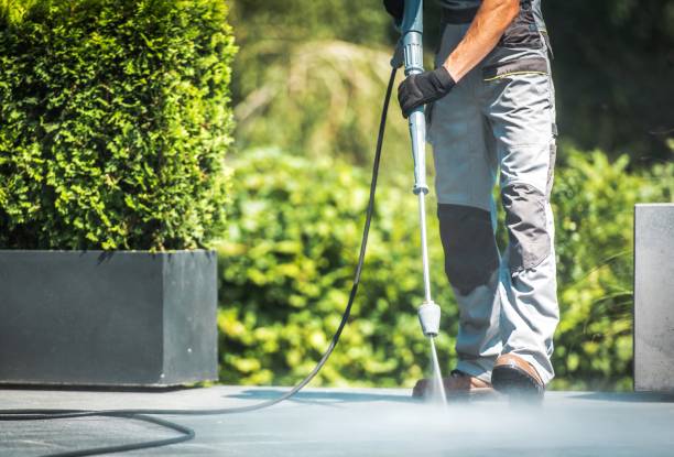 Best Roof Cleaning and Mildew Removal in Morrison, IL